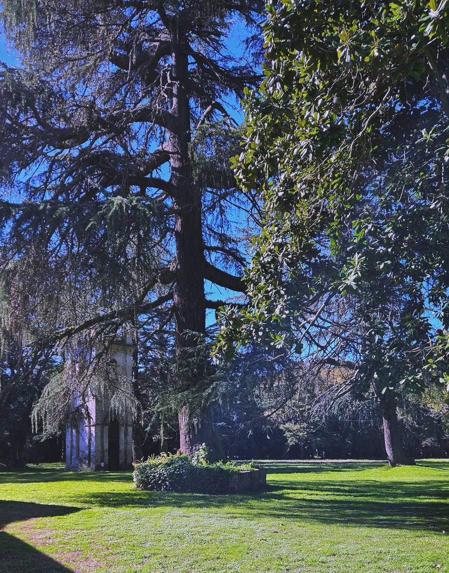 Estancia Los Candiles